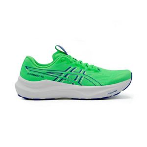 Asics GT-2000 14 Schuhe Herren grün 45.0