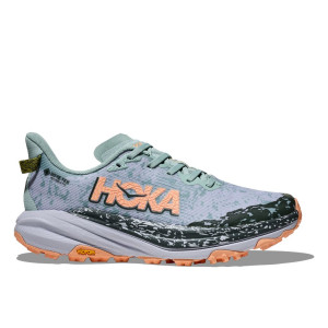 Hoka Speedgoat 6 GTX Schuhe Damen bunt 44.0