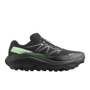Salomon Ultra Flow 2 GTX Schuhe Herren schwarz 48.0