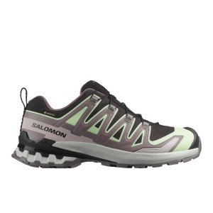 Salomon Xa Pro 3D V9 GTX Schuhe Damen schwarz 40.0