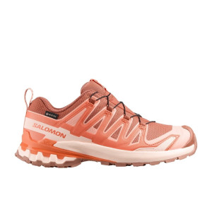 Salomon Xa Pro 3D V9 GTX Schuhe Damen braun 42.6