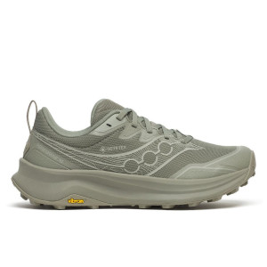 Saucony Peregrine 16 GTX Schuhe Damen grau 40.0