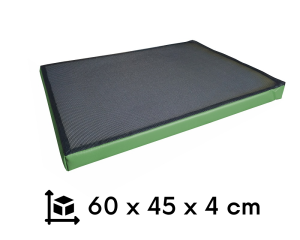 Mata dezynfekcyjna 60x45x4 cm standard