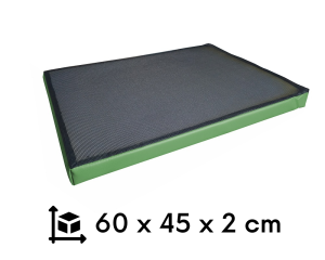 Mata dezynfekcyjna 60x45x2 cm standard