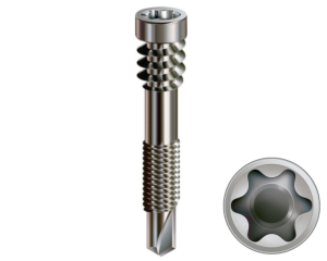 Wkręt tarasowy 5x48 mm do profilu aluminiowego A2 - 100 szt