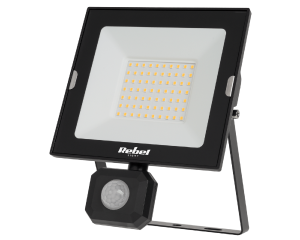 Reflektor LED 50 W z sensorem ruchu i zmierzchu 230 V 4000 K