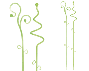 Podpórka do kwiatów zielona Decor Orchid Sticks