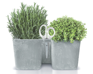 Doniczka na zioła 2,5 L Twins Cube