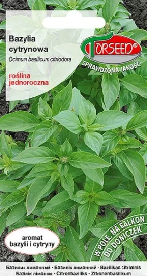 Bazylia cytrynowa nasiona Torseed
