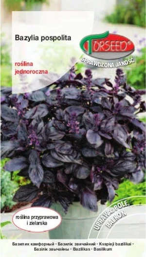 Bazylia czerwona nasiona Torseed