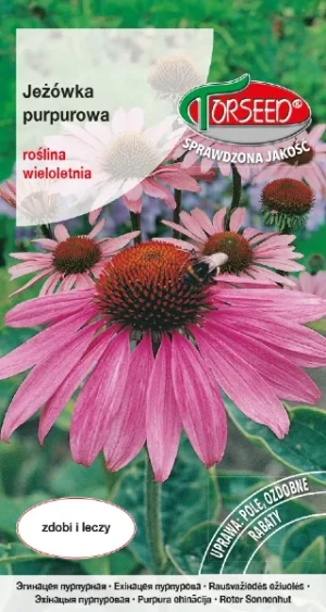 Jeżówka purpurowa nasiona Torseed