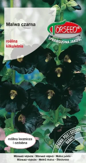 Malwa czarna Althea nasiona Torseed