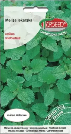 Melisa lekarska nasiona Torseed