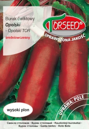Burak ćwikłowy Opolski nasiona Torseed
