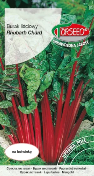 Burak liściowy Rhubarb Chard nasiona Torseed