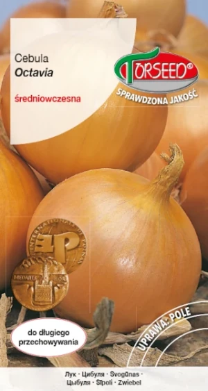 Cebula średniowczesna Octavia nasiona Torseed