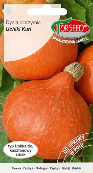 Dynia olbrzymia typ Hokkaido nasiona Torseed