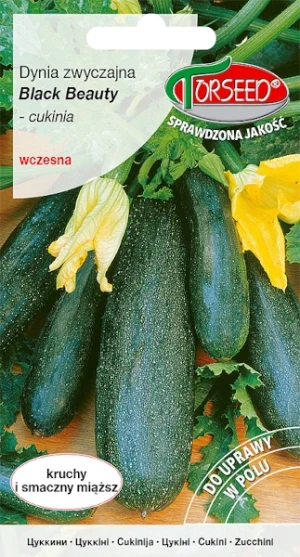 Dynia zwyczajna cukinia Cukinia Black Beauty nasiona Torseed