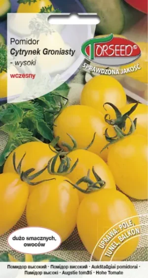 Pomidor czereśniowy żółty Cytrynek Groniasty typ cherry nasiona Torseed