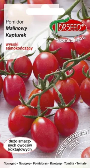 Pomidor czereśniowy Malinowy Kapturek typ cherry nasiona Torseed