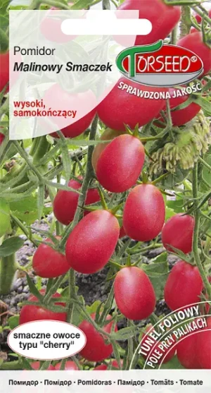 Pomidor czereśniowy Malinowy Smaczek typ cherry nasiona Torseed