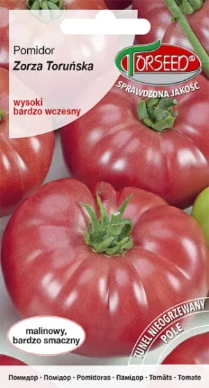 Nasiona pomidora malinowego Torseed