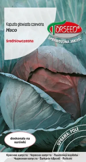 Kapusta czerwona Haco nasiona Torseed