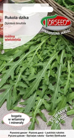 Rukola dzika wieloletnia Diplotaxis tenuifolia nasiona Torseed