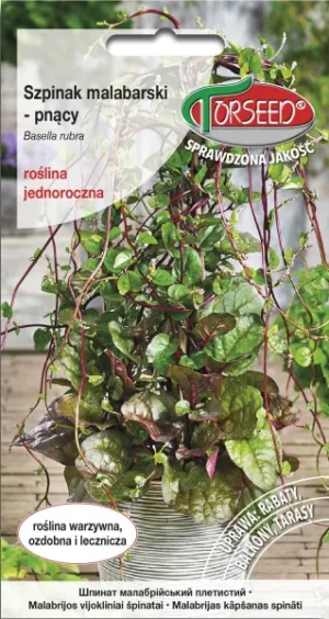 Szpinak Malabarski pnący nasiona Torseed