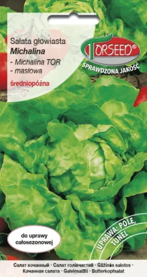 Sałata głowiasta masłowa Michalina nasiona Torseed