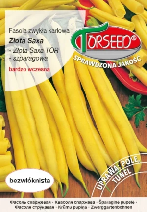 Fasola szparagowa żółtostrąkowa Złota Saxa nasiona Torseed
