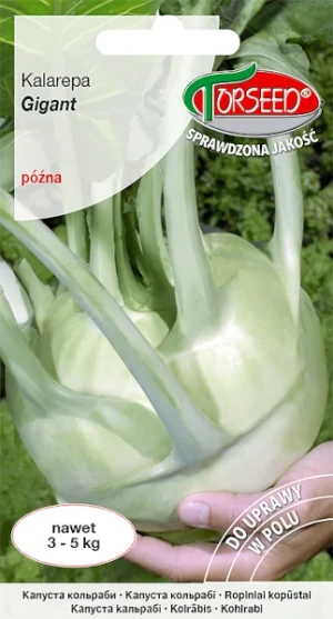 Kalarepa Gigant odmiana późna nasiona Torseed