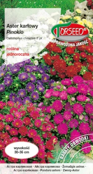 Mieszanka kwiatów Aster karłowy Pinokio nasiona Torseed
