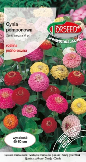 Mieszanka nasion Cynia pomponowa Torseed