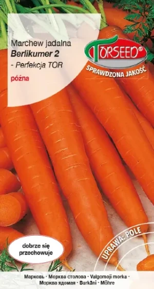 Marchew jadalna Berlikumer nasiona Torseed