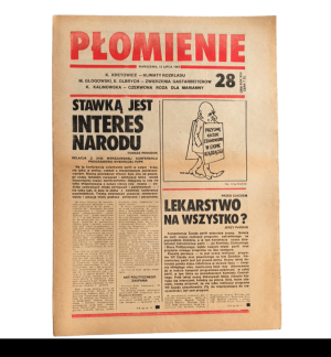 Płomienie 19.04.1981
