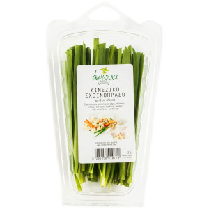 ΣΧΟΙΝΟΠΡΑΣΟ (CHIVES) ΑΡΩΜΑ ΣΚΑΦΑΚΙ 50 GR