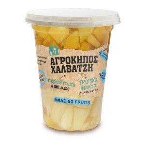 Φρουτοσαλάτα Τροπικά Φρούτα σε Χυμό Φρούτου 400g