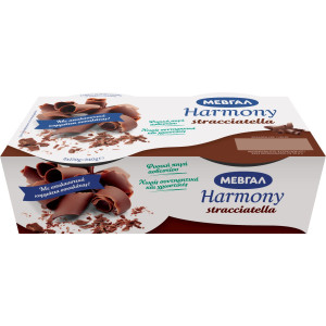 Επιδόρπιο Γιαουρτιού Stracciatella 2x170g