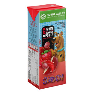 Φρουτοποτό Scooby Doo Κόκκινα Φρούτα 250ml