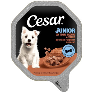Σκυλοτροφή Junior Γαλοπούλα Βοδινό 150g