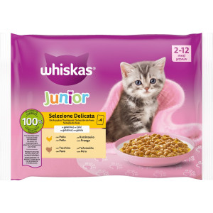 Γατοτροφή Junior Πουλερικά σε Ζελέ 4x85g