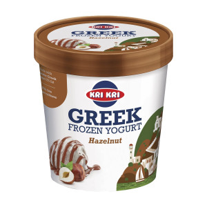 Παγωτό Frozen Yogurt Hazelnut 320g
