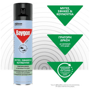Εντομοκτόνο Flying Ιπτάμενα Έντομα 300ml