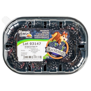 Βατόμουρα Μαύρα Ελληνικά 125g