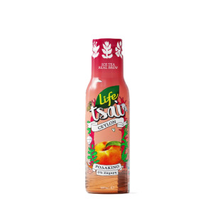 Ice Tea Ροδάκινο 0% Ζάχαρη 500ml