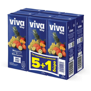 Φυσικός Χυμός 9 Φρούτα 250ml 5+1 Δώρο