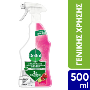 Καθαριστικό Spray Αντιβακτηριδιακό Ρόδι & Lime 500ml