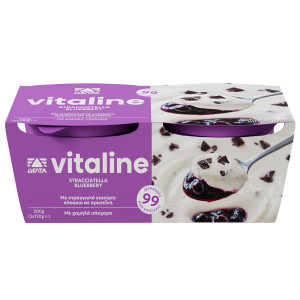 Επιδόρπιο Γιαουρτιού Blueberry Stracciatella 2x150g