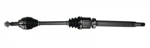 218264 GSP Demi-arbre